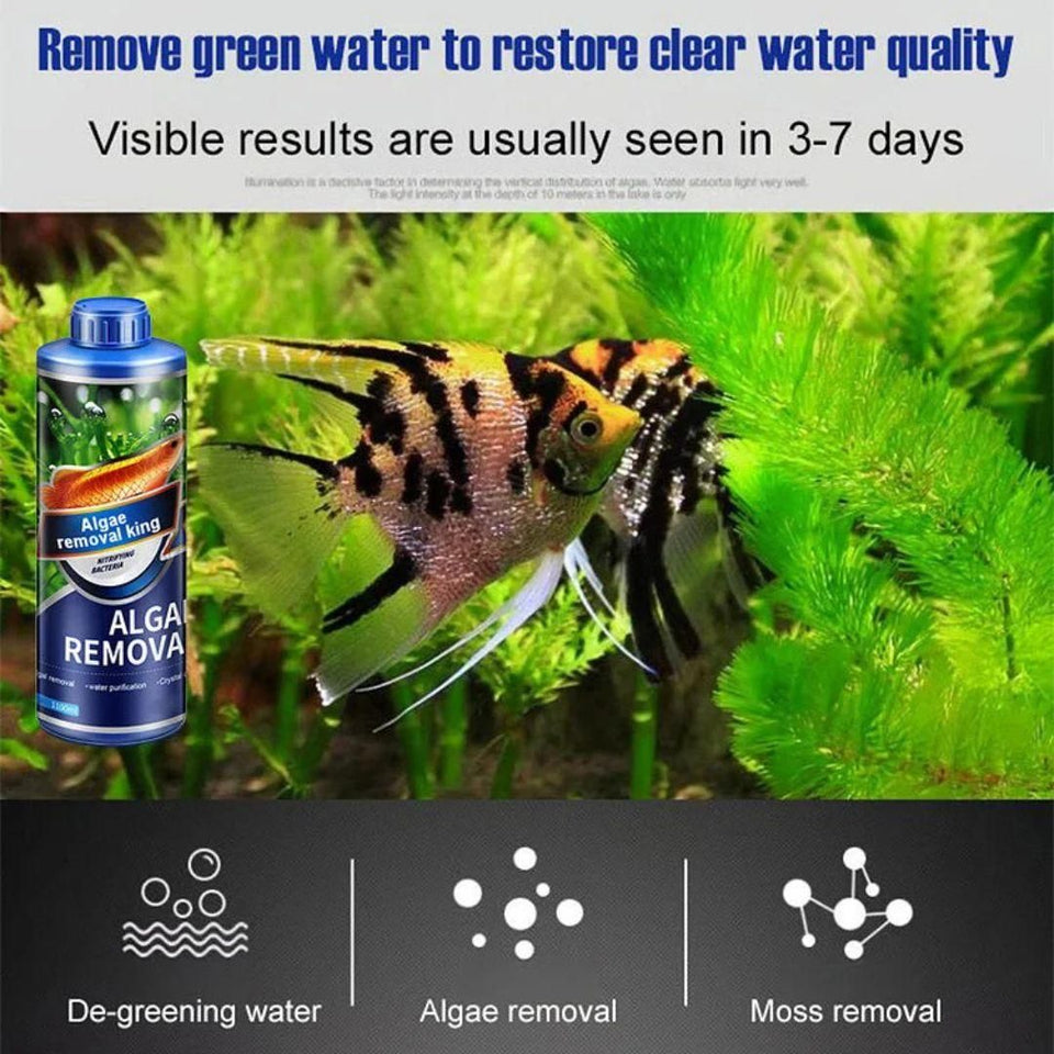 Algae Remover Fish Tank Removes Green Algae (Pack Of 2)