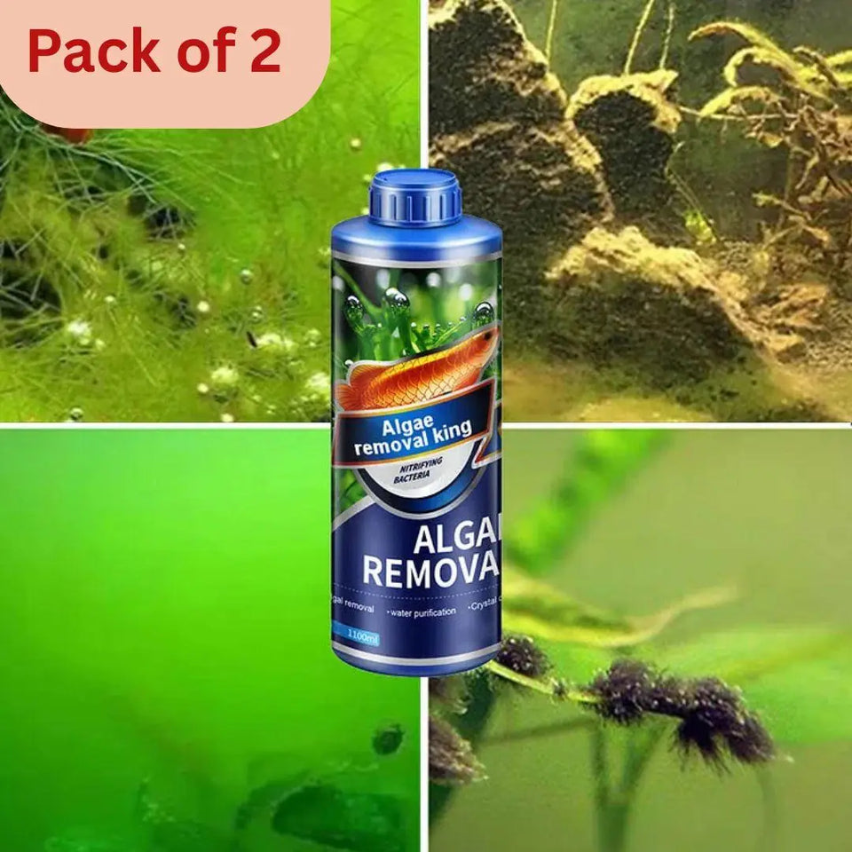 Algae Remover Fish Tank Removes Green Algae (Pack Of 2)